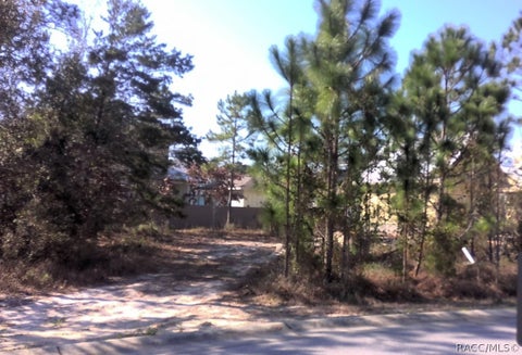 Vacant Land For Sale - 4912 Leeward Drive<br/> Pensacola, FL 32507