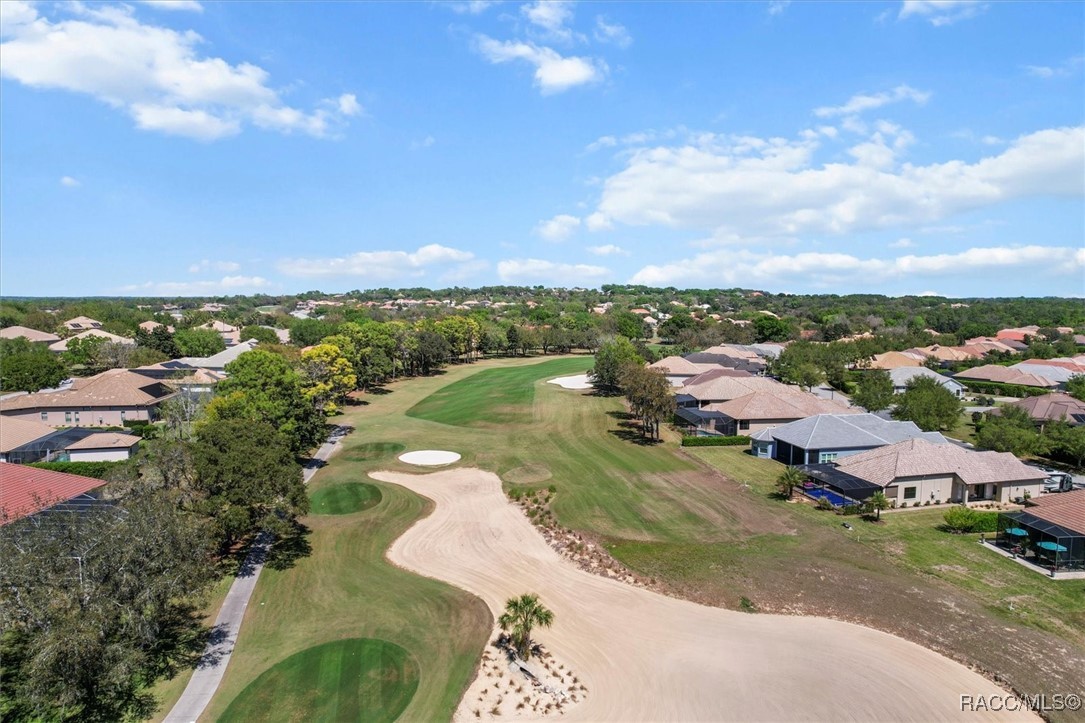 1342 W Double Eagle Court, Hernando, Florida image 9
