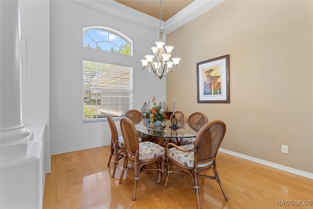 1342 W Double Eagle Court, Hernando, Florida image 12
