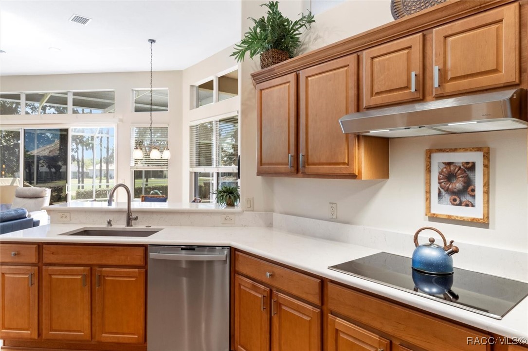 1342 W Double Eagle Court, Hernando, Florida image 15