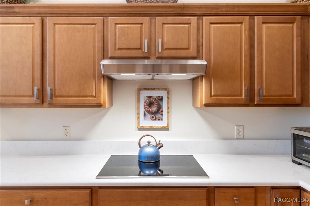 1342 W Double Eagle Court, Hernando, Florida image 16