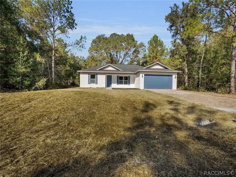 Homes For Sale - 11790 Orange Road<br/> Ocklawaha, FL 32179