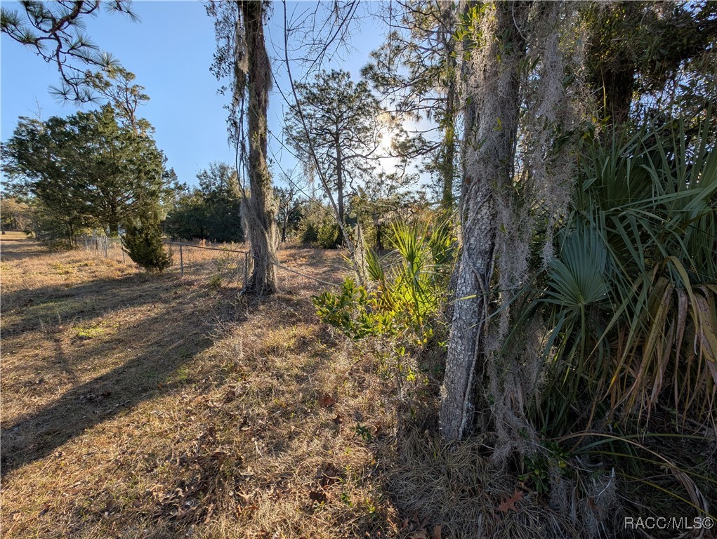 2948 S Portland Terrace, Homosassa, Florida image 11