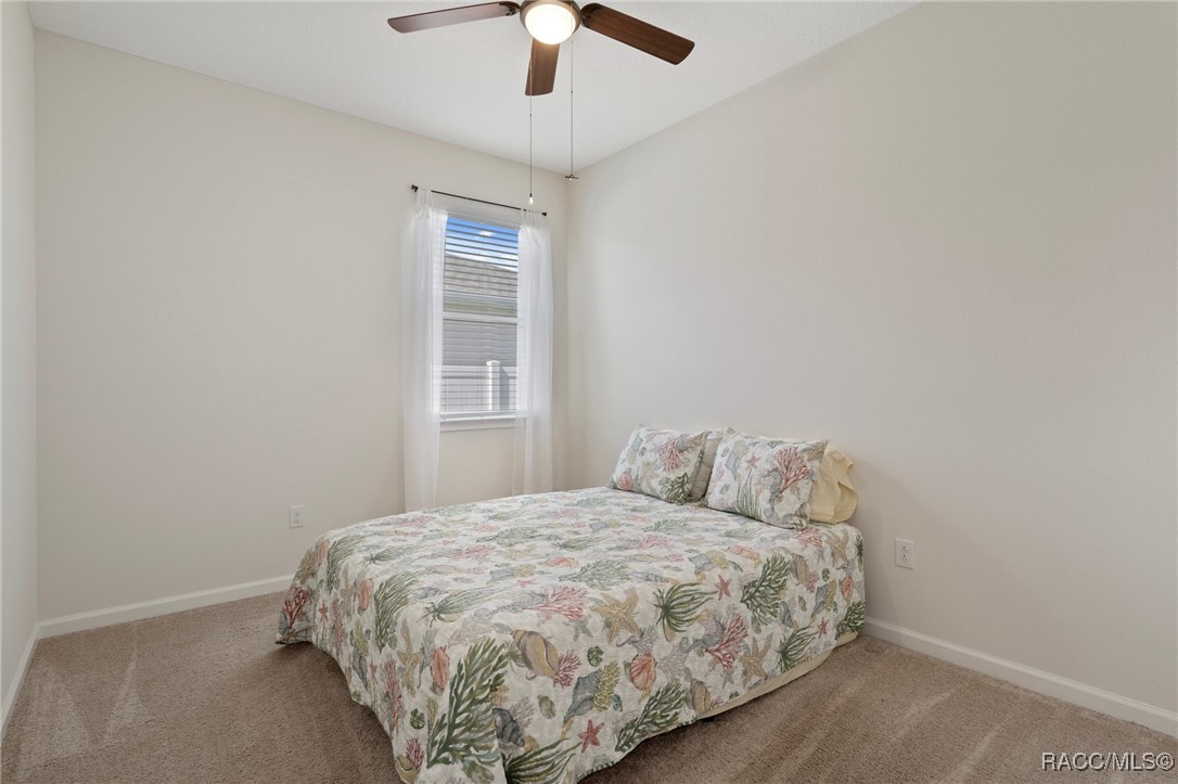 12905 Satin Lily Drive, Riverview, New York image 25