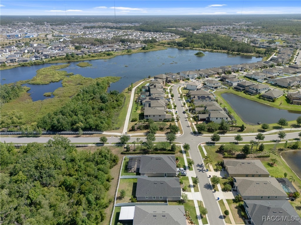 12905 Satin Lily Drive, Riverview, New York image 2