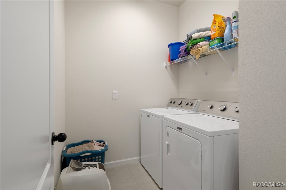 12905 Satin Lily Drive, Riverview, New York image 30