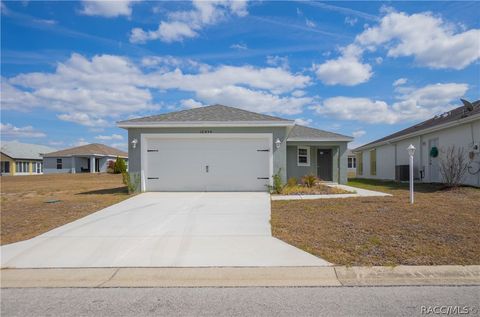 10494 S Drew Bryant Circle Floral City FL 34436