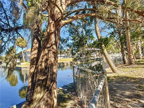 A home in Crystal River