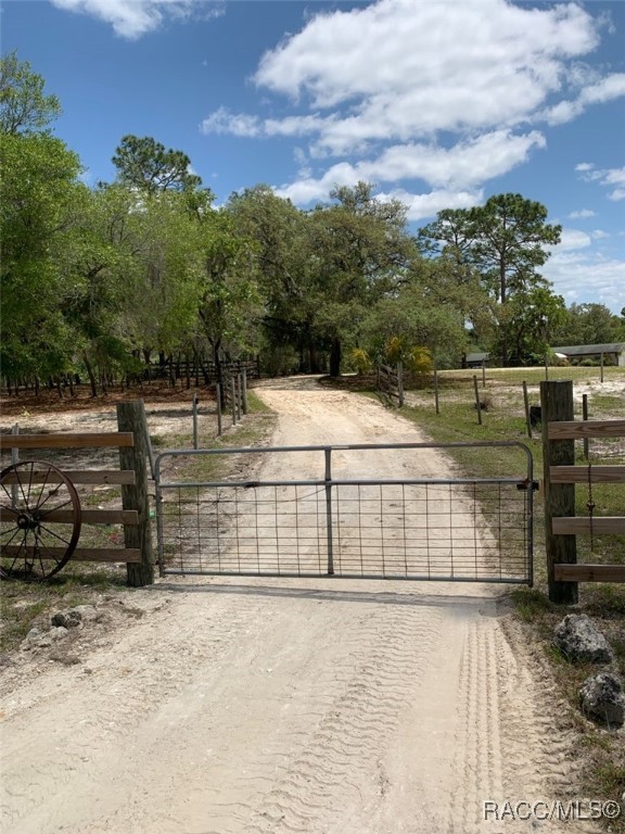 6401 N Oakfield Point, Dunnellon, Florida image 3