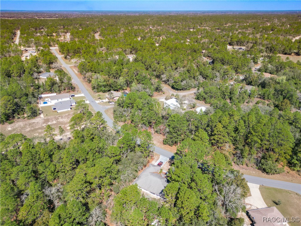 3212 W Camilo Drive, Citrus Springs, Florida image 49