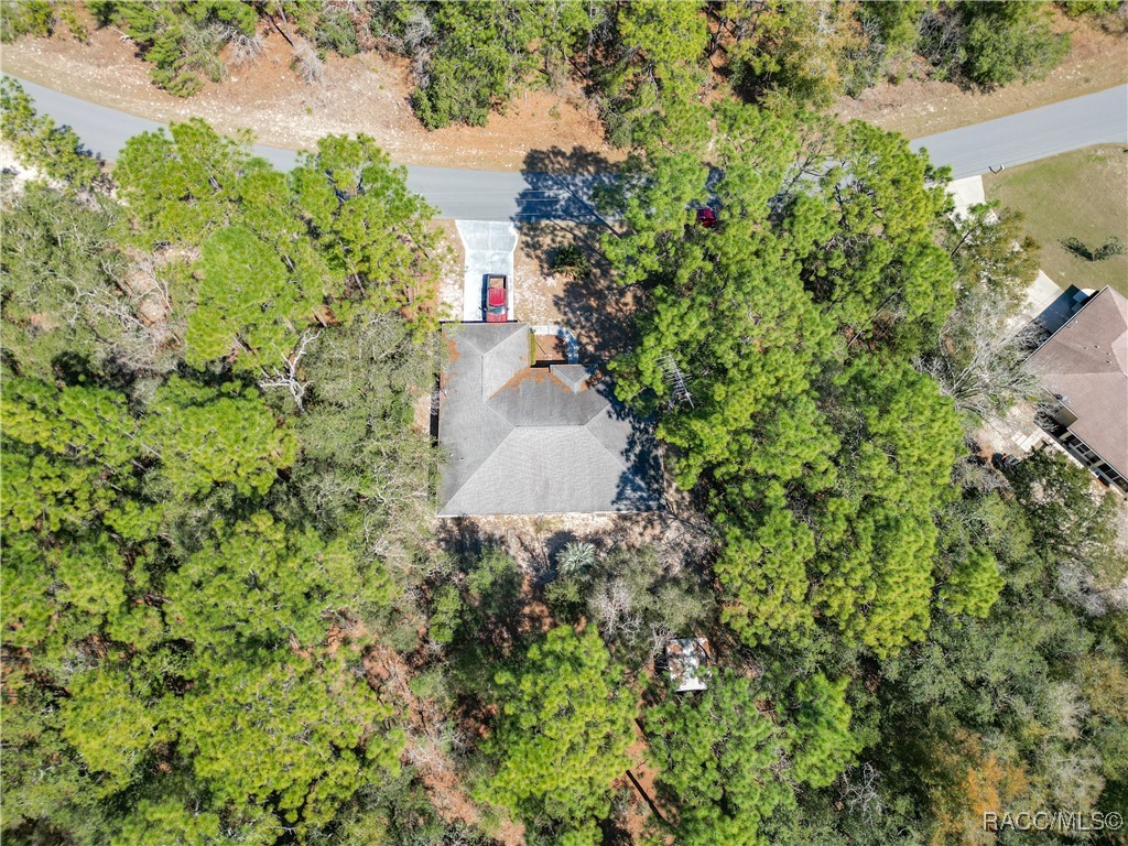 3212 W Camilo Drive, Citrus Springs, Florida image 50