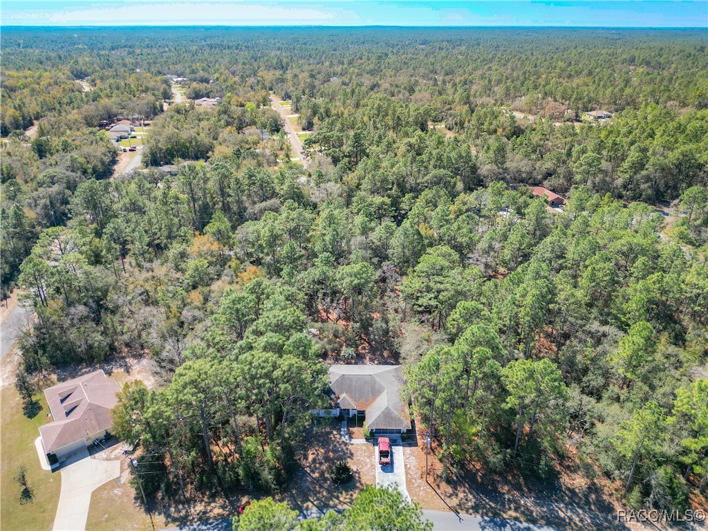 3212 W Camilo Drive, Citrus Springs, Florida image 43
