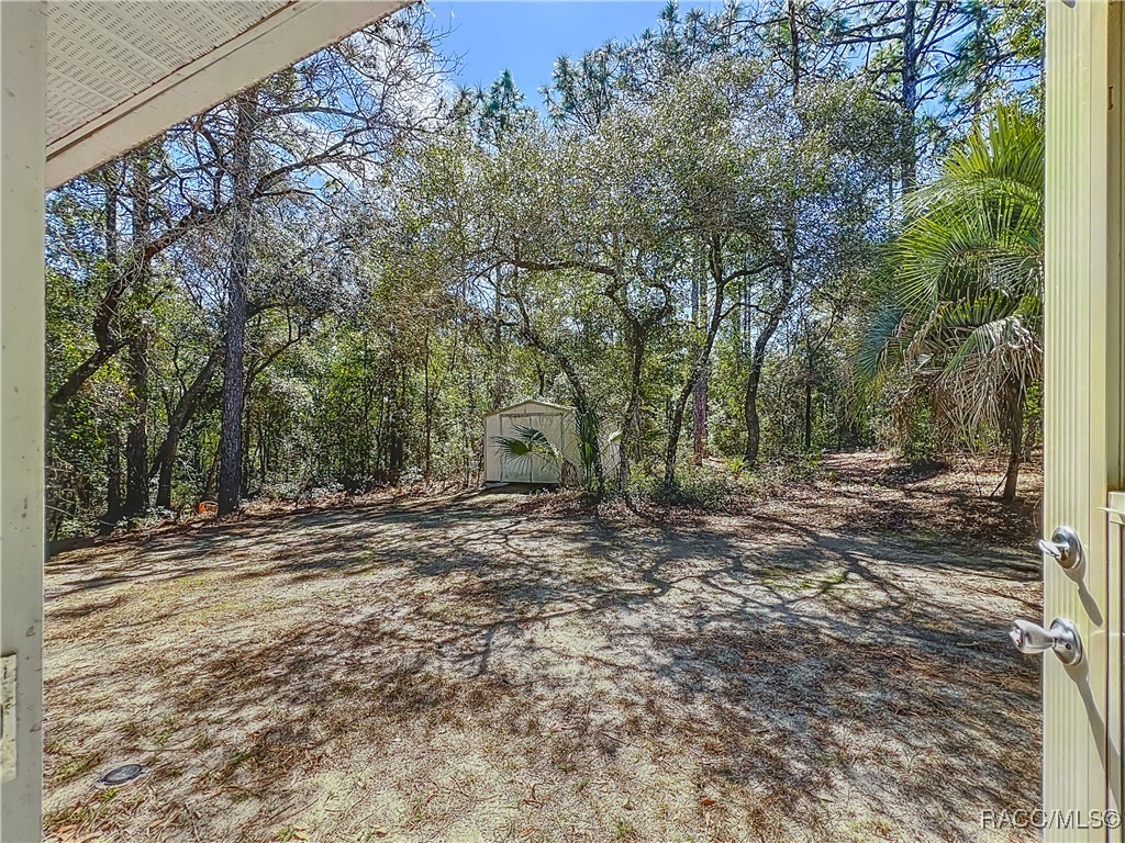 3212 W Camilo Drive, Citrus Springs, Florida image 38