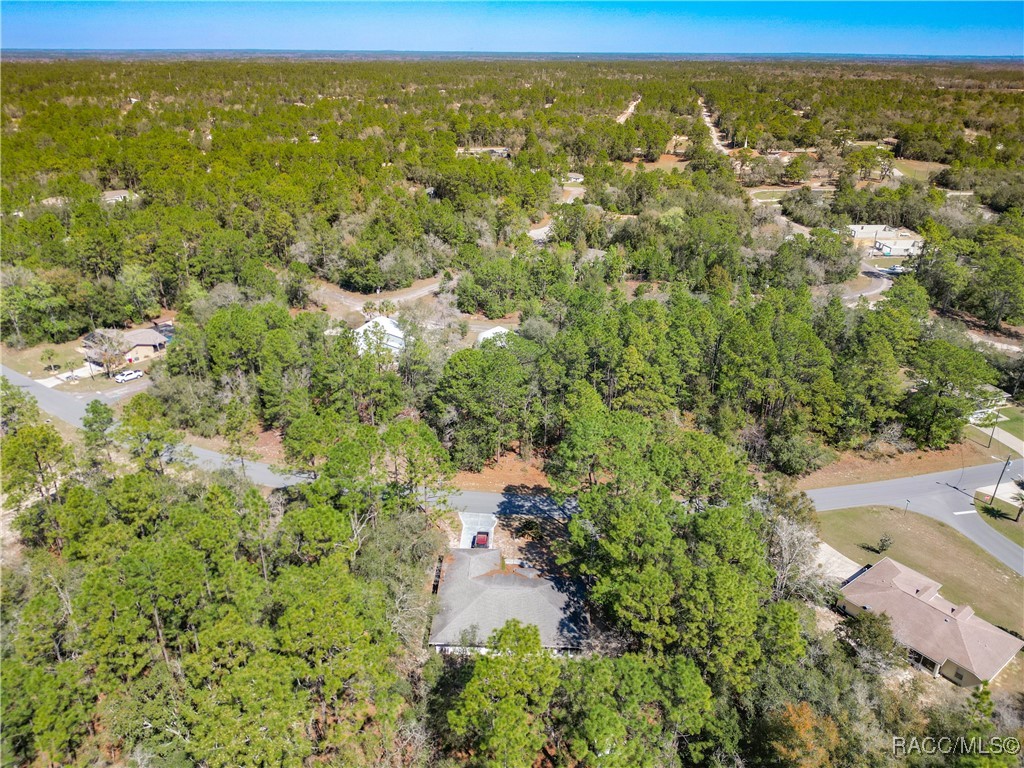 3212 W Camilo Drive, Citrus Springs, Florida image 48