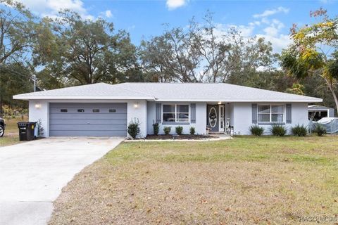 A home in Hernando