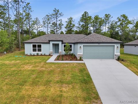 Homes For Sale - 9204 N Athens Drive<br/> Citrus County, Dunnellon, FL 34433