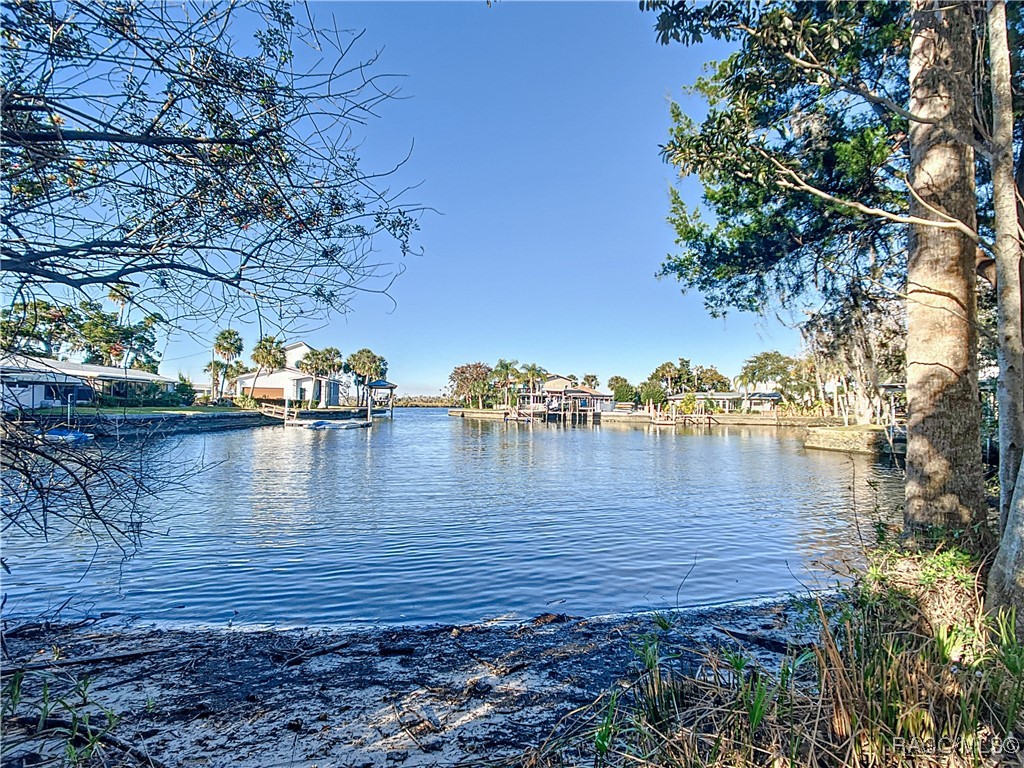 1065 N Crescent Drive, Crystal River, Florida image 39