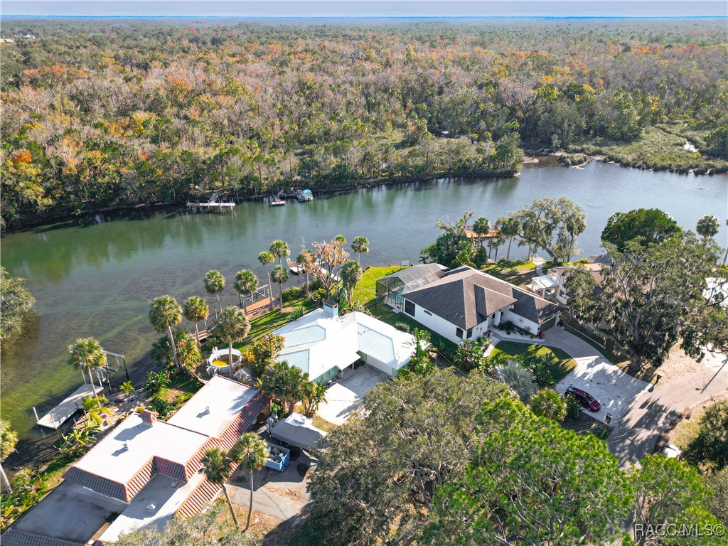 1065 N Crescent Drive, Crystal River, Florida image 7