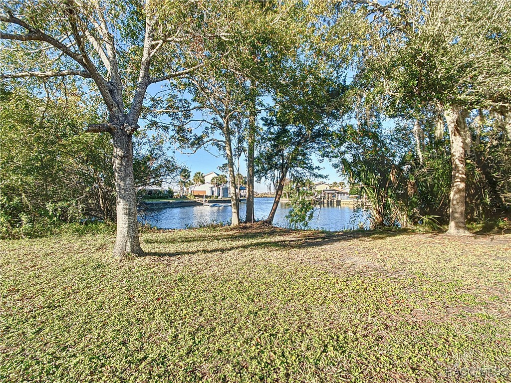 1065 N Crescent Drive, Crystal River, Florida image 38