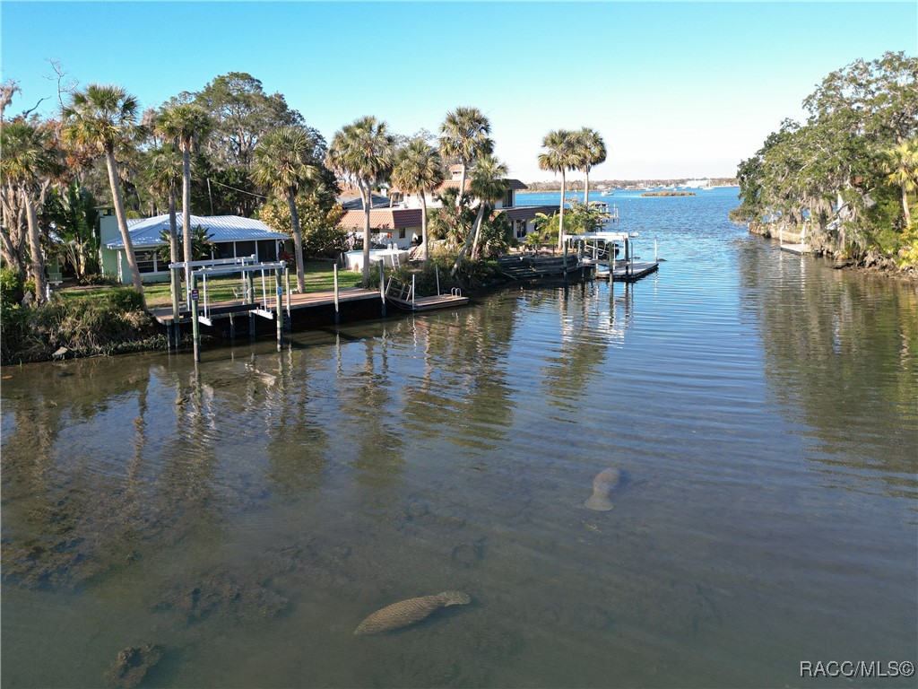 1065 N Crescent Drive, Crystal River, Florida image 2