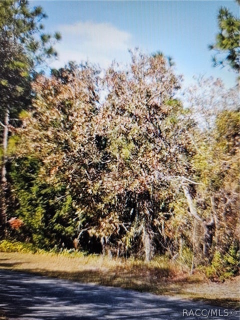 Vacant Land For Sale - 18 Longleaf Court<br/> Homosassa, FL 34446
