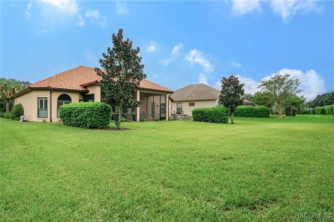 A home in Hernando