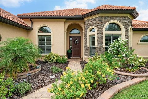 A home in Hernando