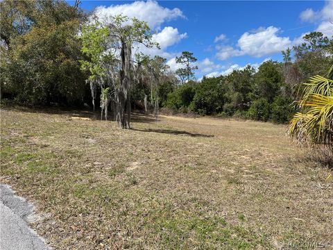Vacant Land For Sale - 420 Cabot Street<br/> Inverness, FL 34452