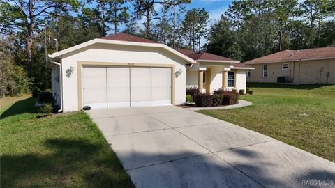 A home in Citrus Springs