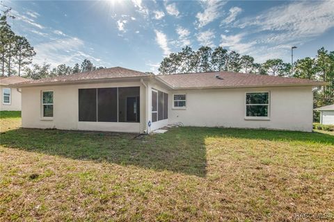 A home in Citrus Springs