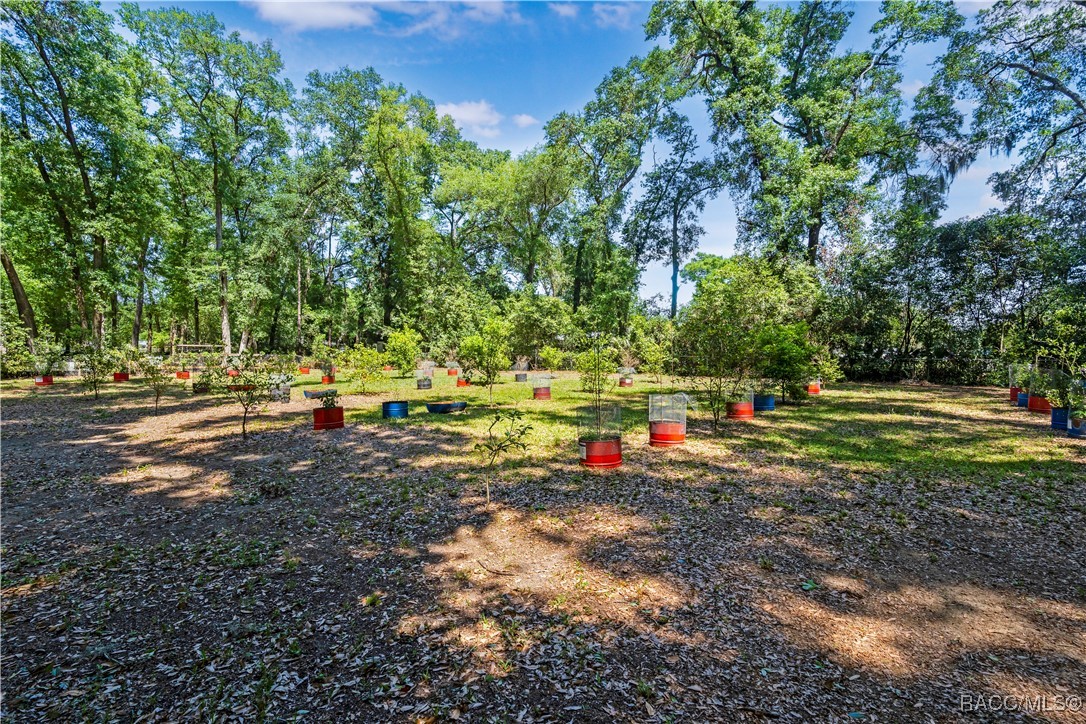 1639 SW 30th Court, Ocala, Florida image 34