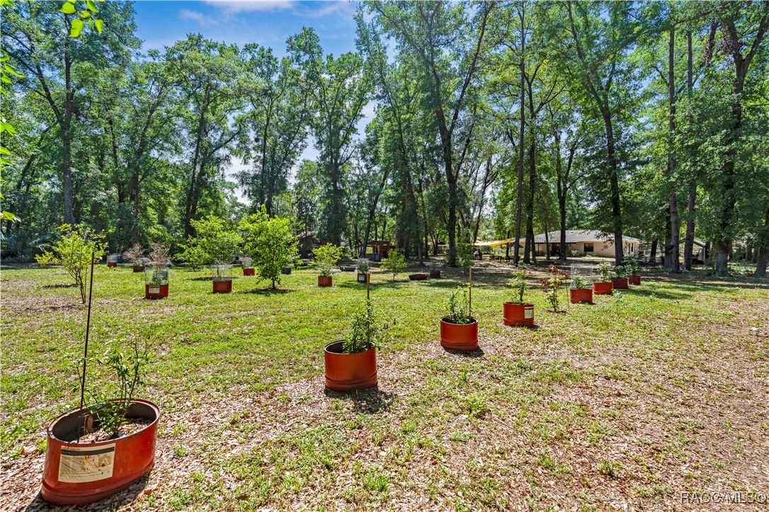 1639 SW 30th Court, Ocala, Florida image 35