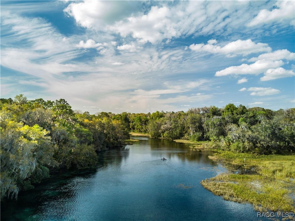 9908 N Essex Terrace, Dunnellon, Florida image 35