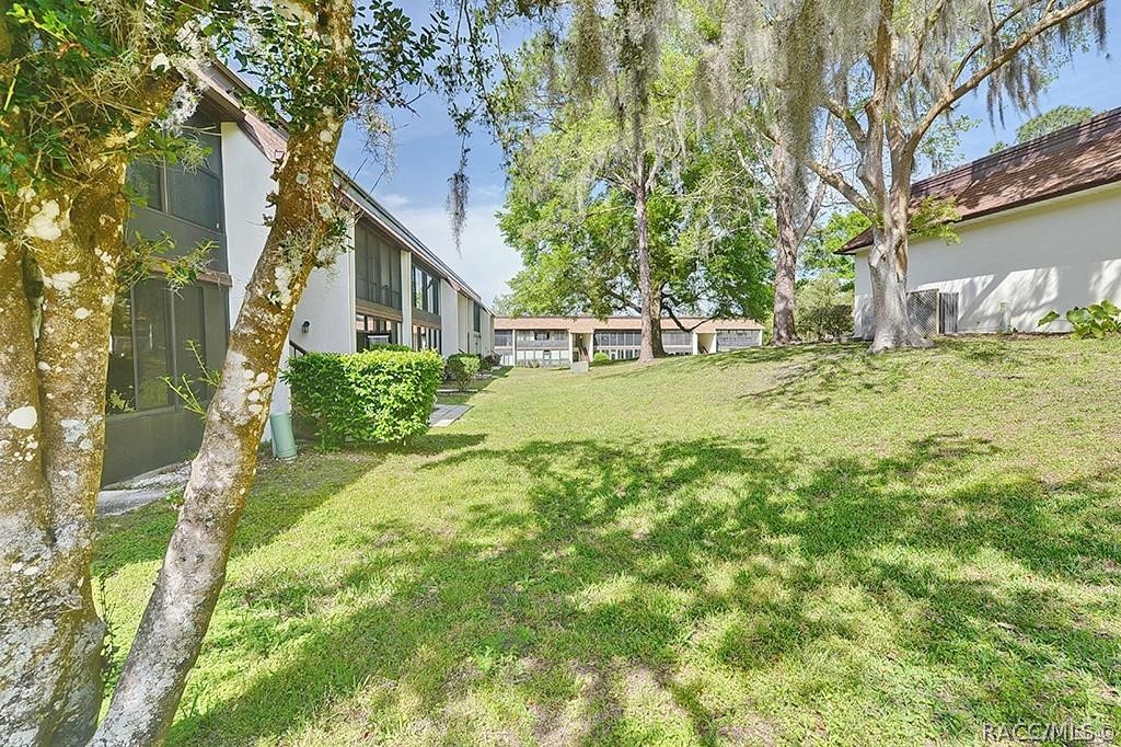 2400 Forest Drive #255, Inverness, Florida image 1