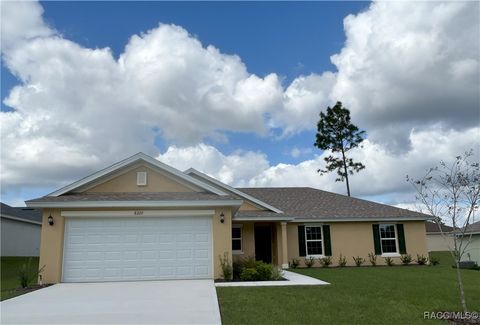 A home in Citrus Springs