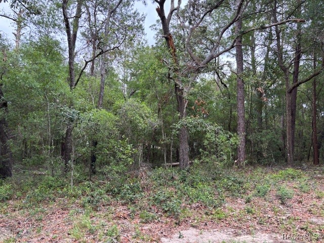 8937 N Cortlandt Drive, Citrus Springs, Florida image 4