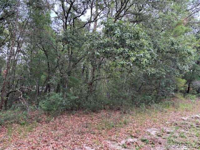 8937 N Cortlandt Drive, Citrus Springs, Florida image 7