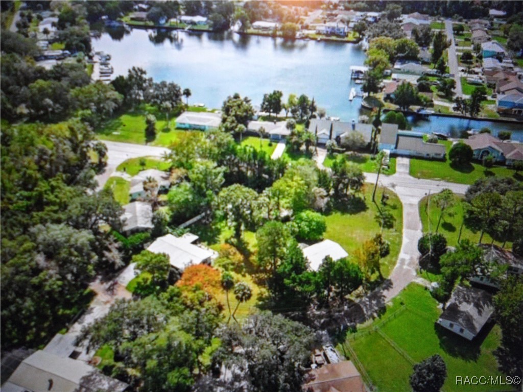 10785 W Spring Circle, Crystal River, Florida image 35