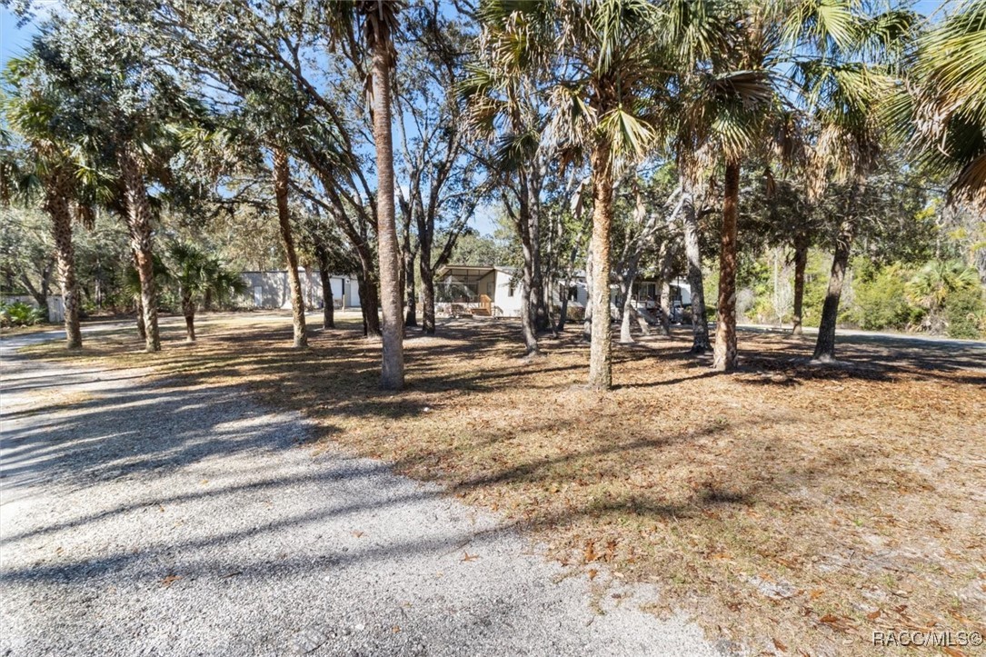 8190 W Chassahowitzka Street, Homosassa, Florida image 3