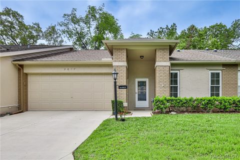 Homes For Sale - 3017 Whispering Pines Court<br/> Hernando County, Spring Hill, FL 34606