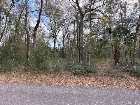 Vacant Land For Sale - 3497 E Lou Lane<br/> Inverness, FL 34453