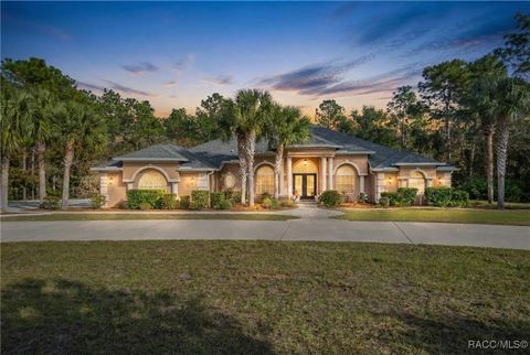 6378 W Pine Ridge Boulevard Beverly Hills FL 34465