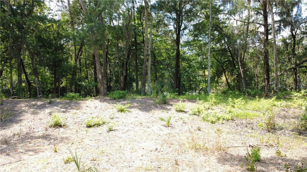 12445 W Foss Groves Path