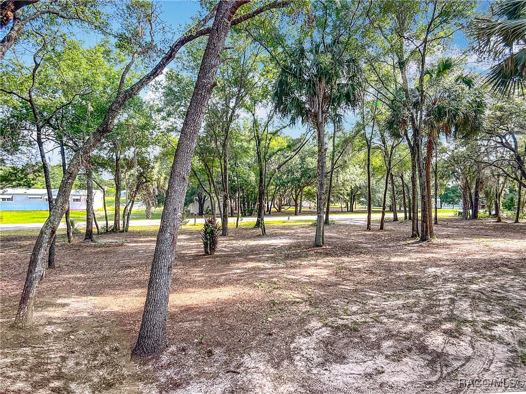 11907 N Care Point, Dunnellon, New York image 38