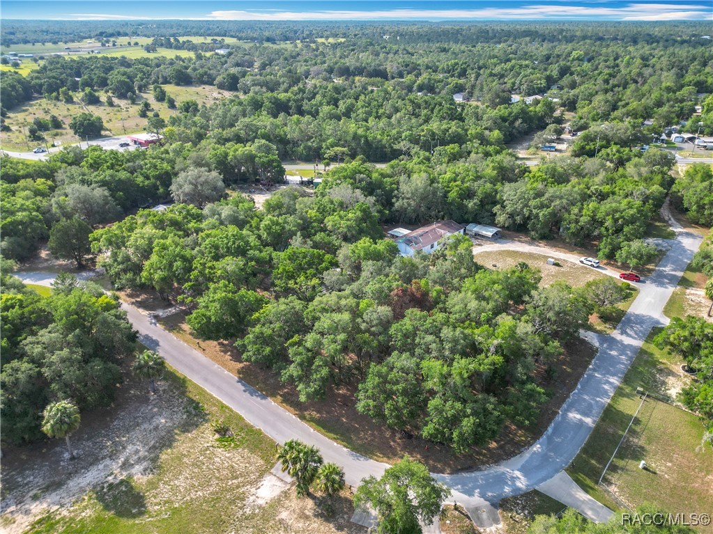 11907 N Care Point, Dunnellon, New York image 47