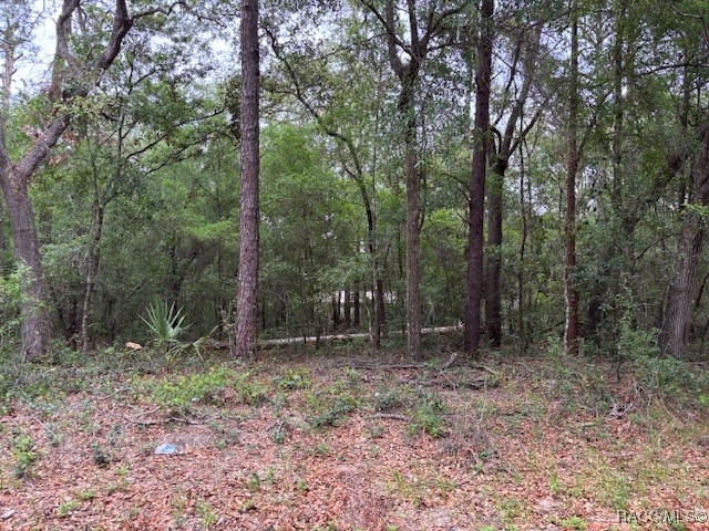 8949 N Cortlandt Drive, Citrus Springs, Florida image 6