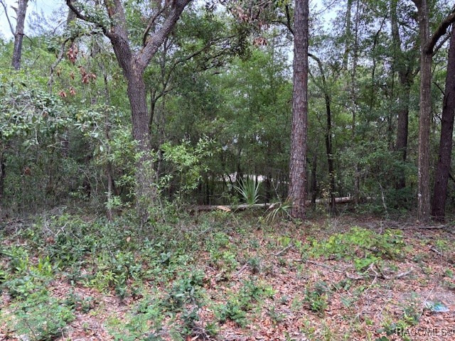 8949 N Cortlandt Drive, Citrus Springs, Florida image 1