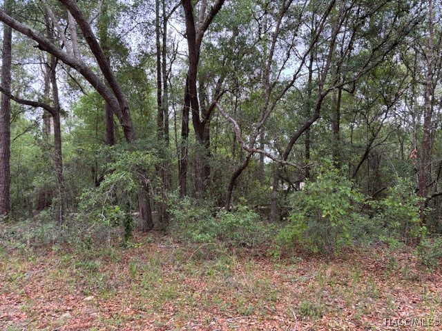 8949 N Cortlandt Drive, Citrus Springs, Florida image 2
