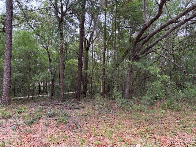 8949 N Cortlandt Drive, Citrus Springs, Florida image 7