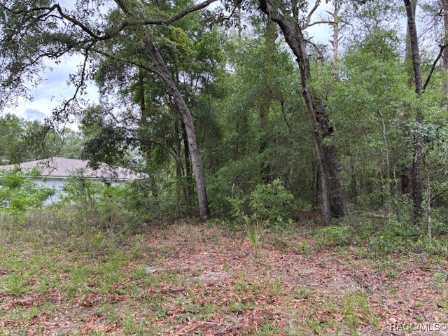 8949 N Cortlandt Drive, Citrus Springs, Florida image 3